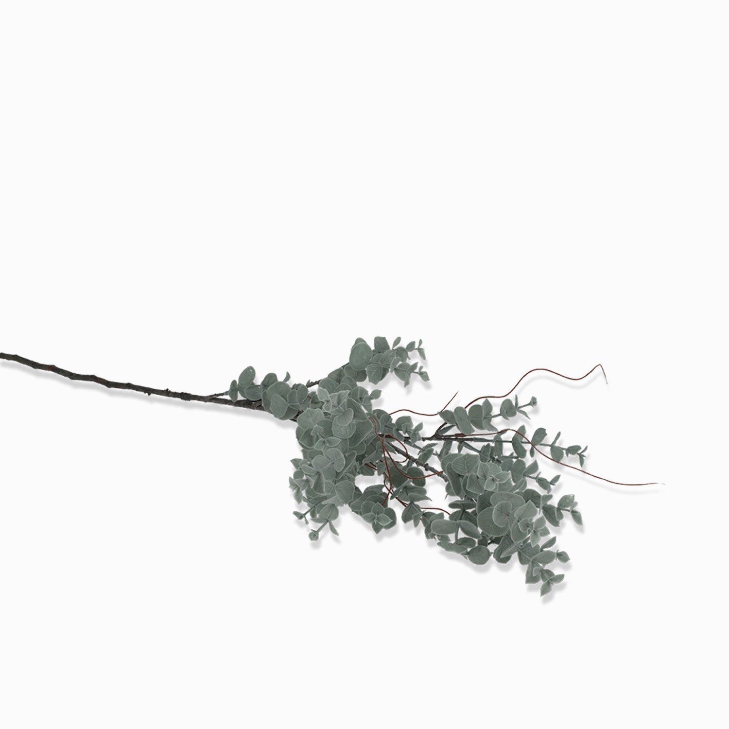 Rama Eucalipto Redondo 86 cm-1-AMBIENTE GOURMET MÉXICO