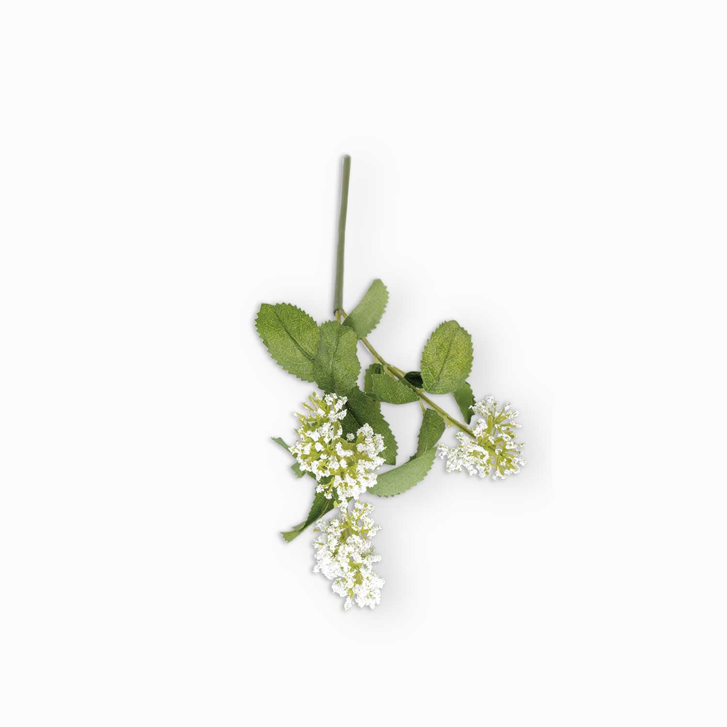 Flor de tallo blanca