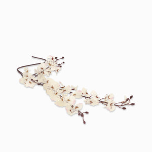 Orquídea Danzante Blanca-1-AMBIENTE GOURMET MÉXICO