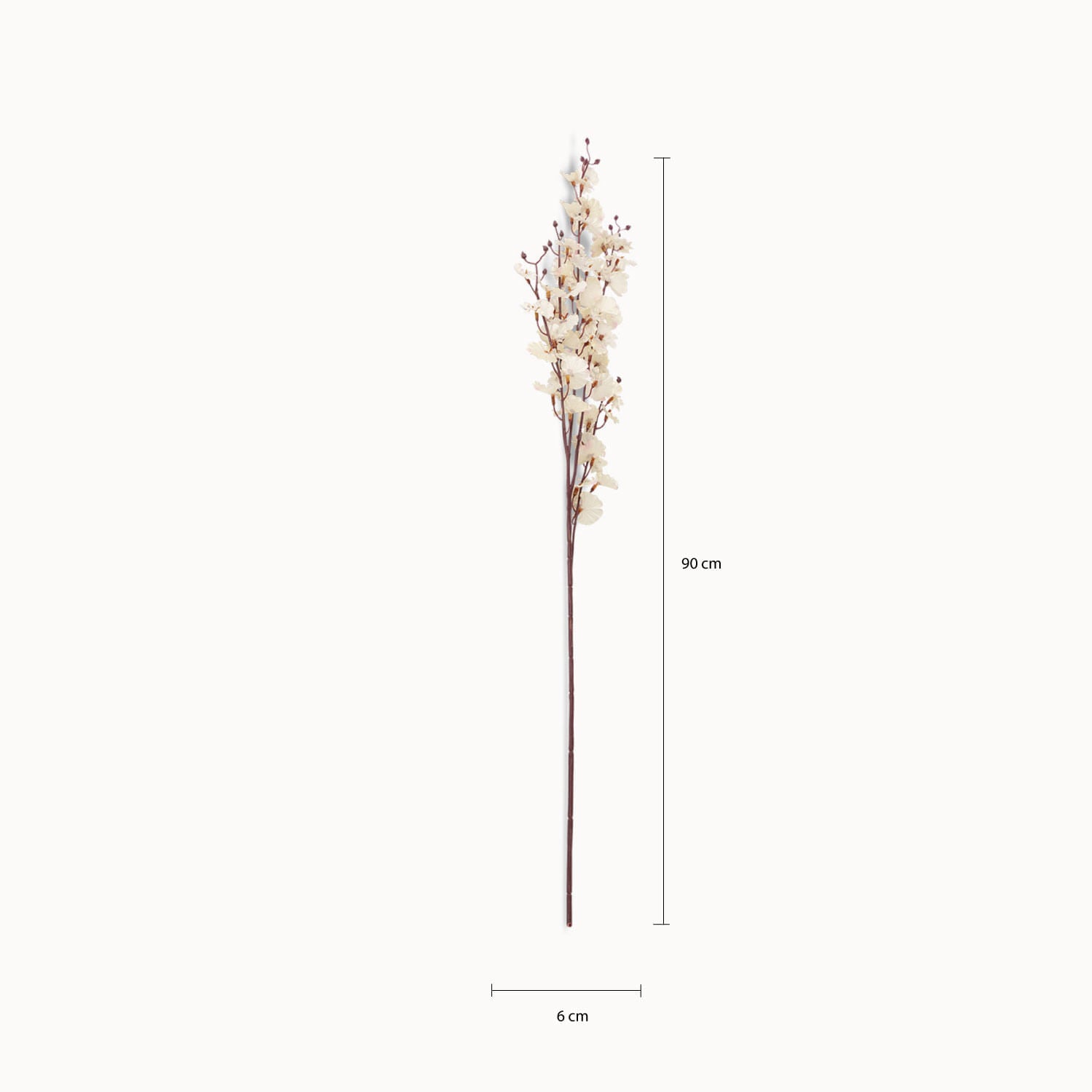Orquídea Danzante Blanca
