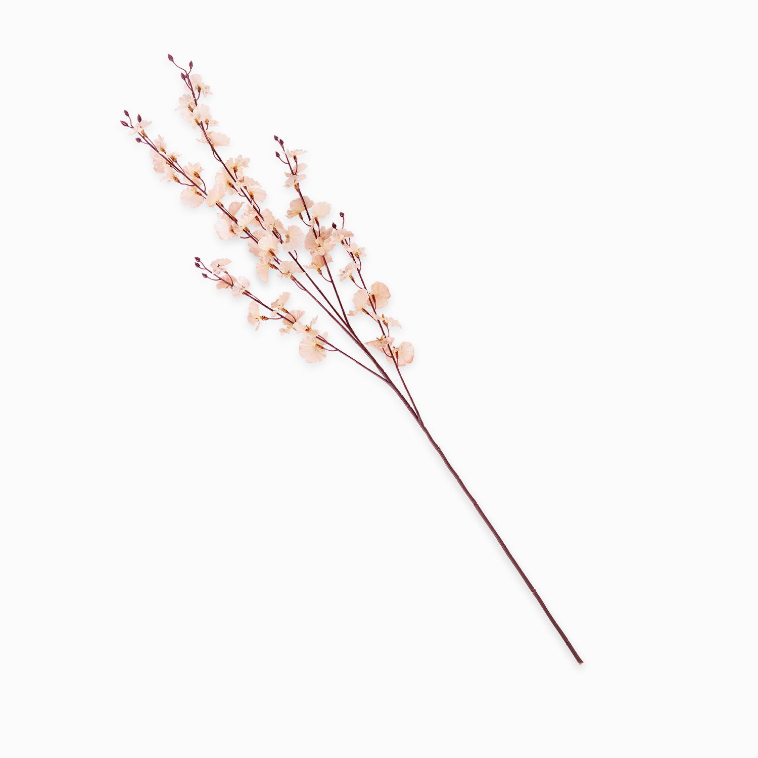 Orquídea Danzante Rosada-1-AMBIENTE GOURMET MÉXICO