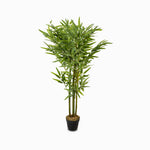 Planta bambú 130cm