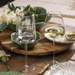Copa ovni en cristal 500ml set x 2