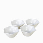 Concha Para Helados Setx4