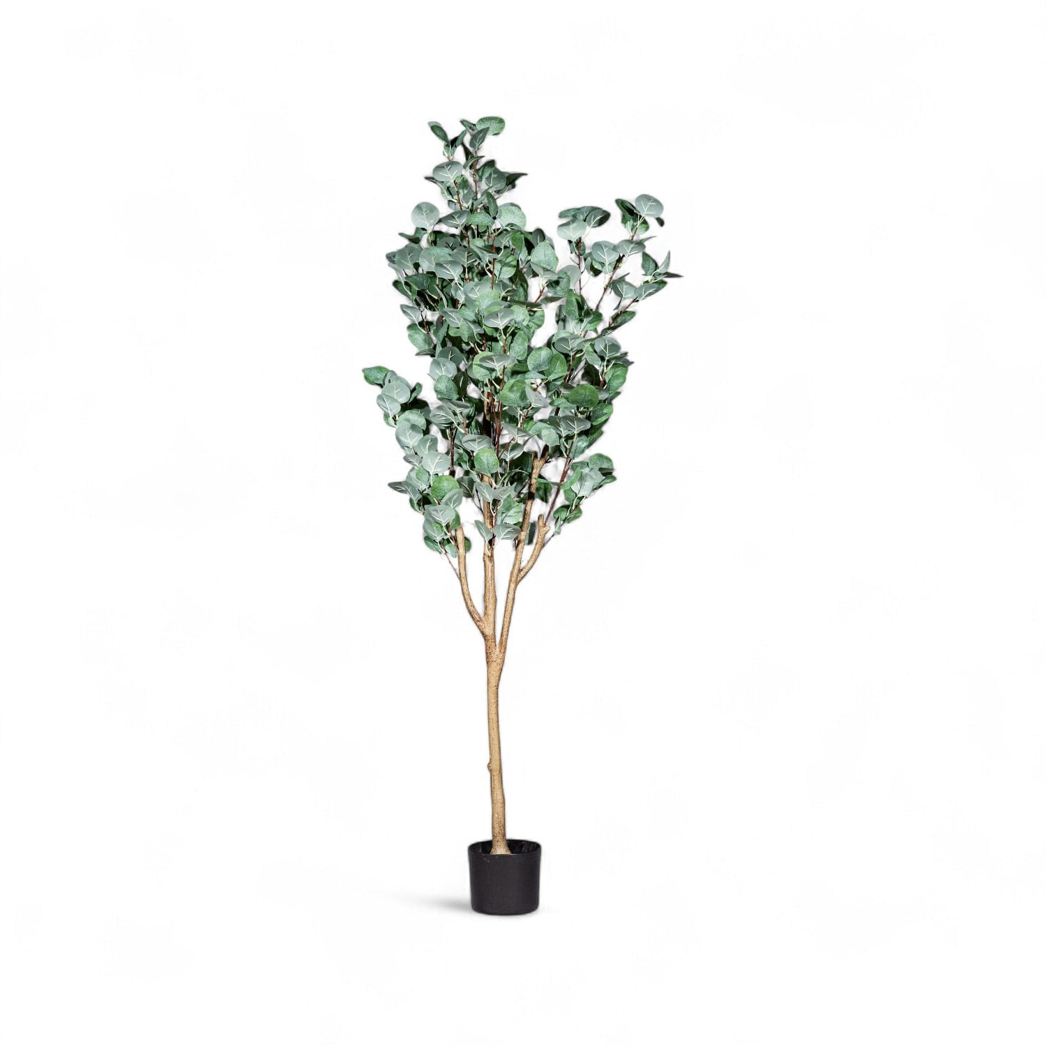 Arbol eucalipto 150cm-1-AMBIENTE GOURMET MÉXICO
