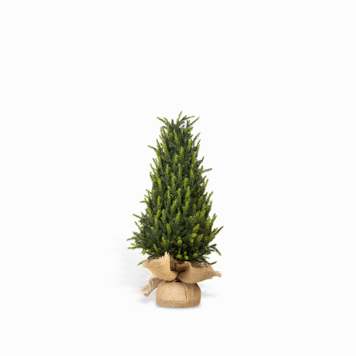 Pino tronco 60cm-1-AMBIENTE GOURMET MÉXICO