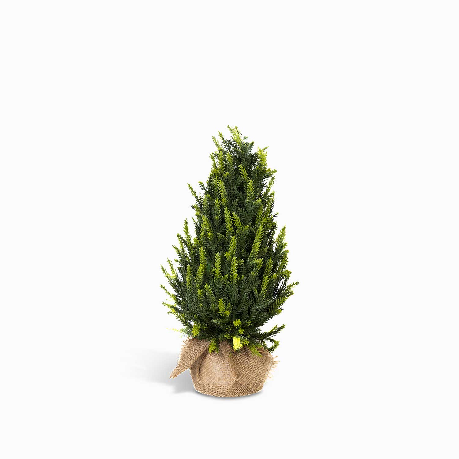 Pino tronco 45cm-1-AMBIENTE GOURMET MÉXICO