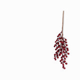 Rama bayas rojas 40cm-1-AMBIENTE GOURMET MÉXICO
