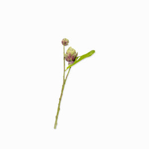 Flor de Piña 58 cm-1-AMBIENTE GOURMET MÉXICO