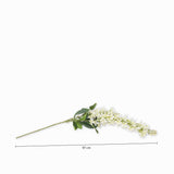 Jacinto 97 cm