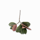 Rama Magnolia 68 cm