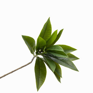 Plumeria 90 cm-1-AMBIENTE GOURMET MÉXICO