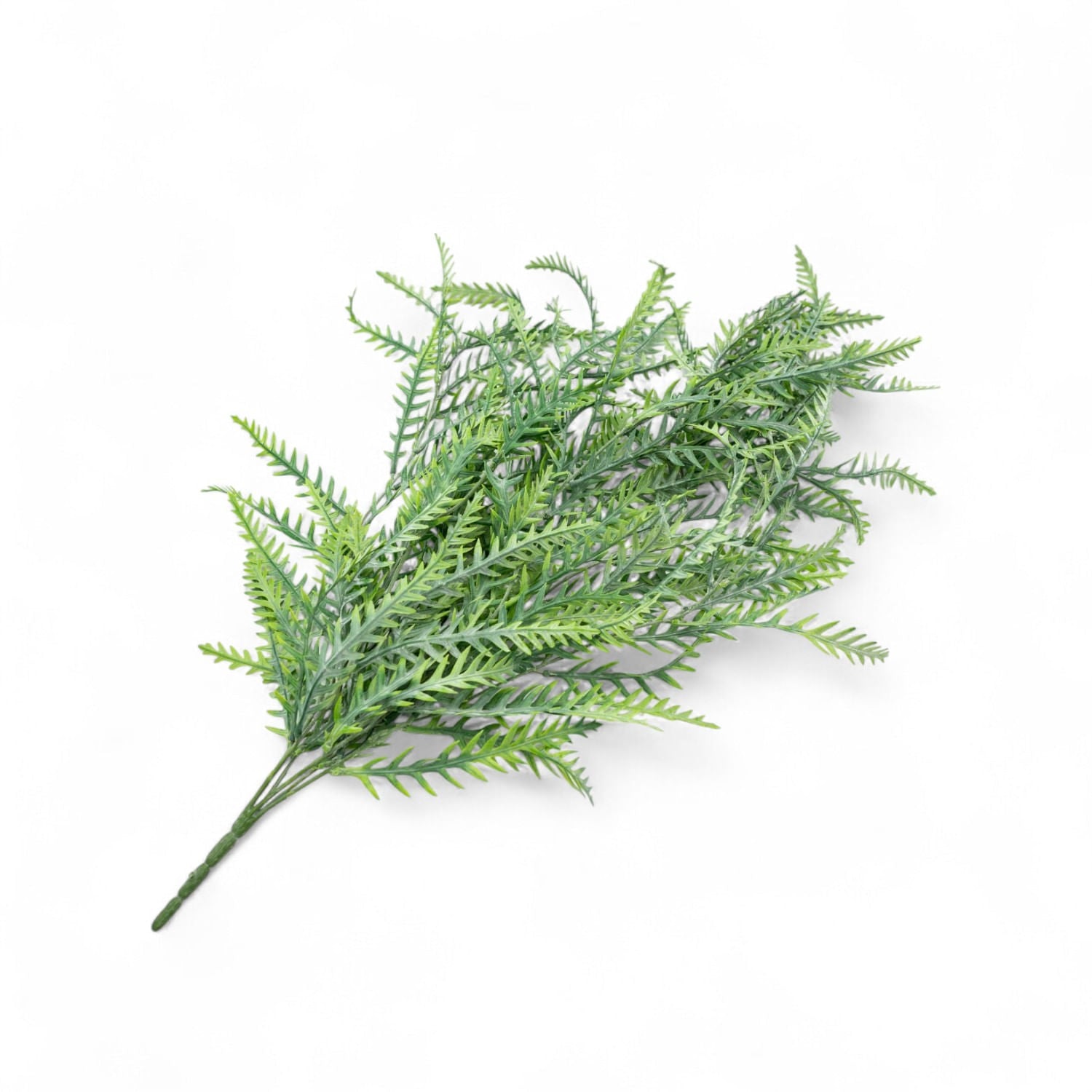 Helecho colgante 80cm-1-AMBIENTE GOURMET MÉXICO