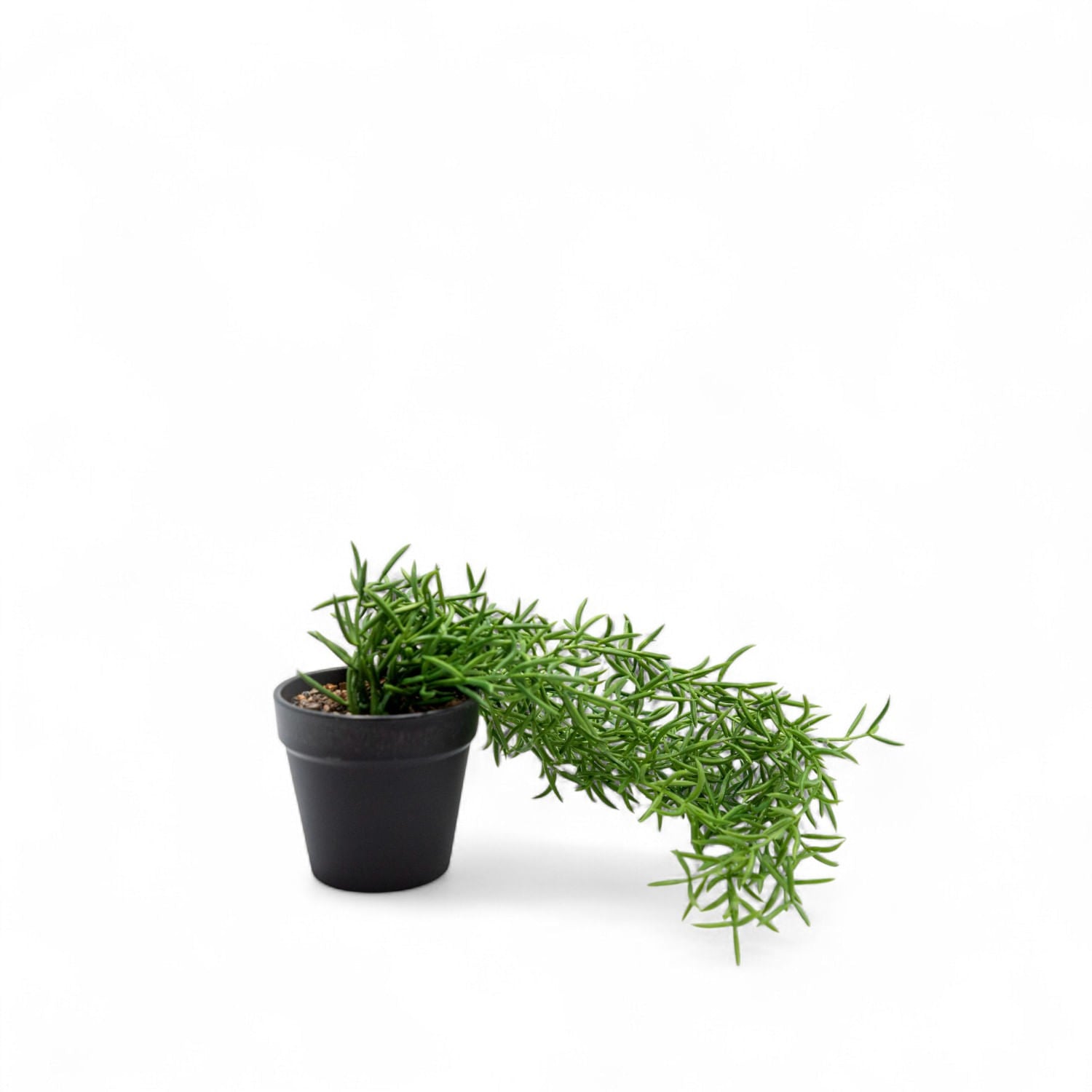 Othona 40cm-4-AMBIENTE GOURMET MÉXICO