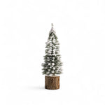 Pino-nieve-base-tronco-36cm