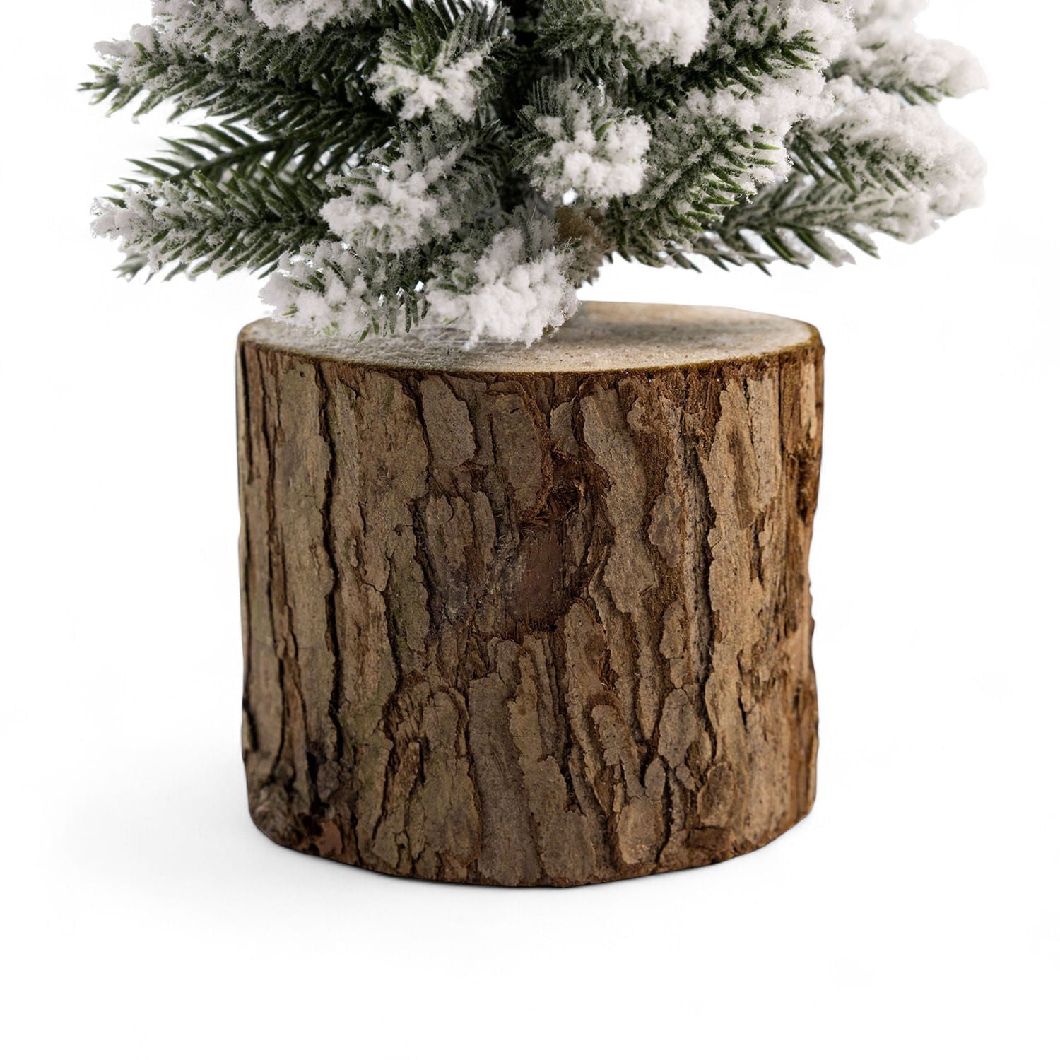Pino-nieve-base-tronco-36cm