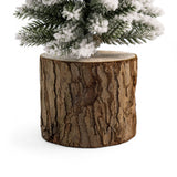 Pino-nieve-base-tronco-36cm