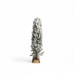 Pinos nieve base tronco 35x42cm-1-AMBIENTE GOURMET MÉXICO