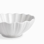 Tazon Eco 20Cm