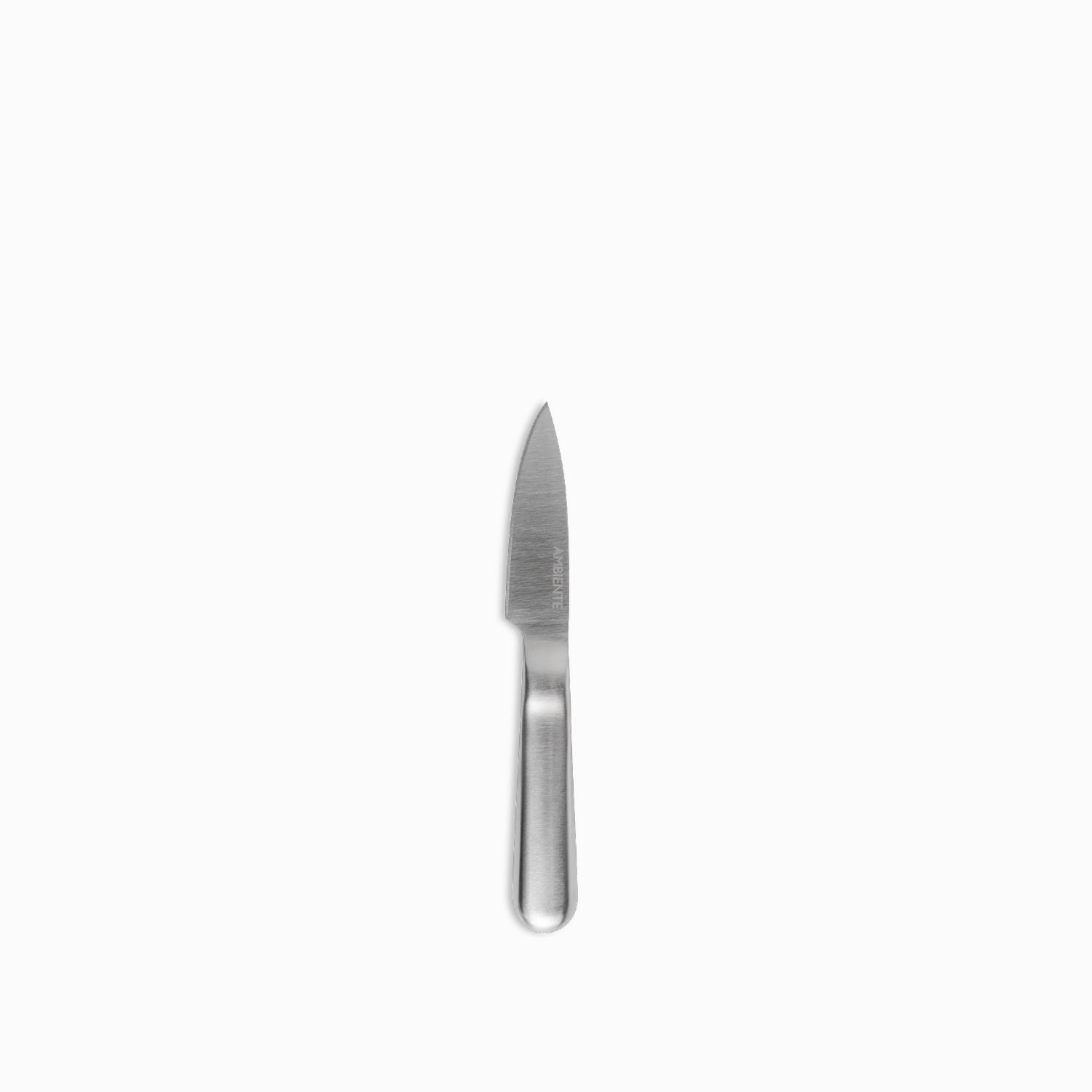 Cuchillo Pelar En Acero