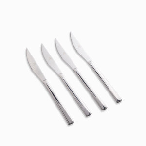 Cuchillo carnes Avesa setx4