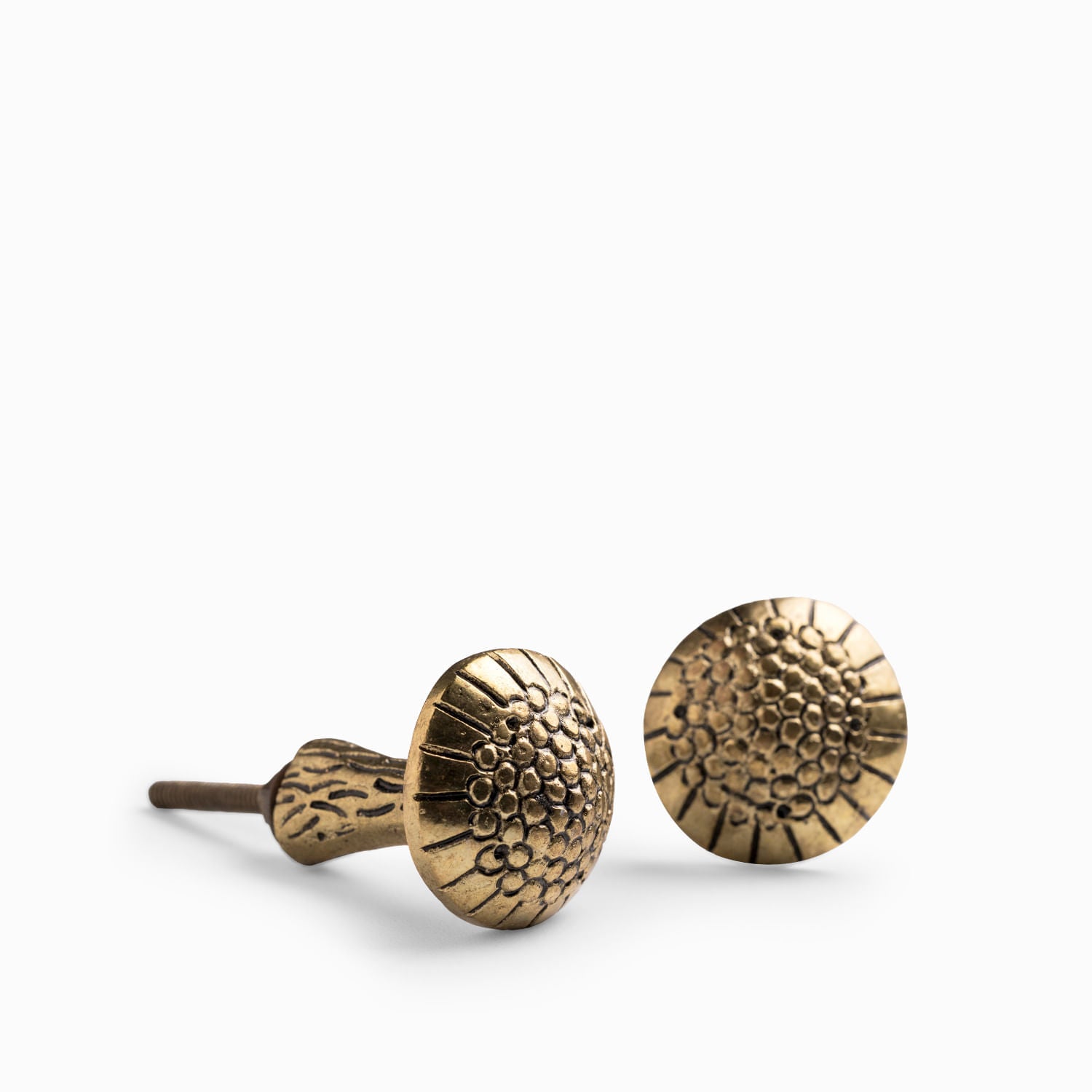 Pomo hongo brass set x2