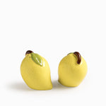 Set salero y pimentero limones