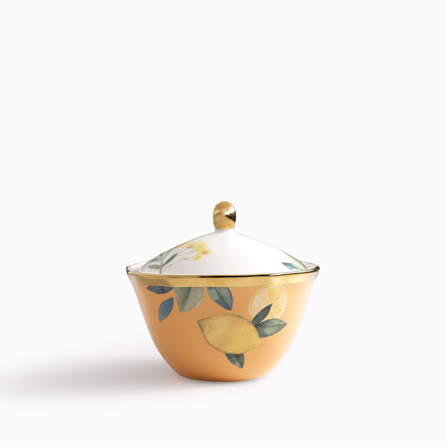 Azucarera Frutal