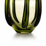 Jarron Falena verde