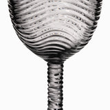 Copa Zebra set x2