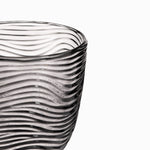 Copa Zebra set x2
