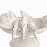 Fuente pájaros
