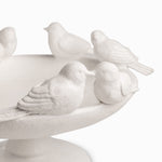 Fuente pájaros
