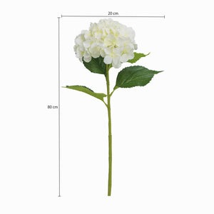 Hortensia blanca-2-AMBIENTE GOURMET MÉXICO