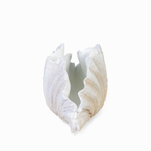 Almeja - Ambiente Gourmet México