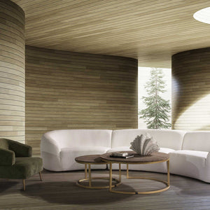 Almeja - Ambiente Gourmet México