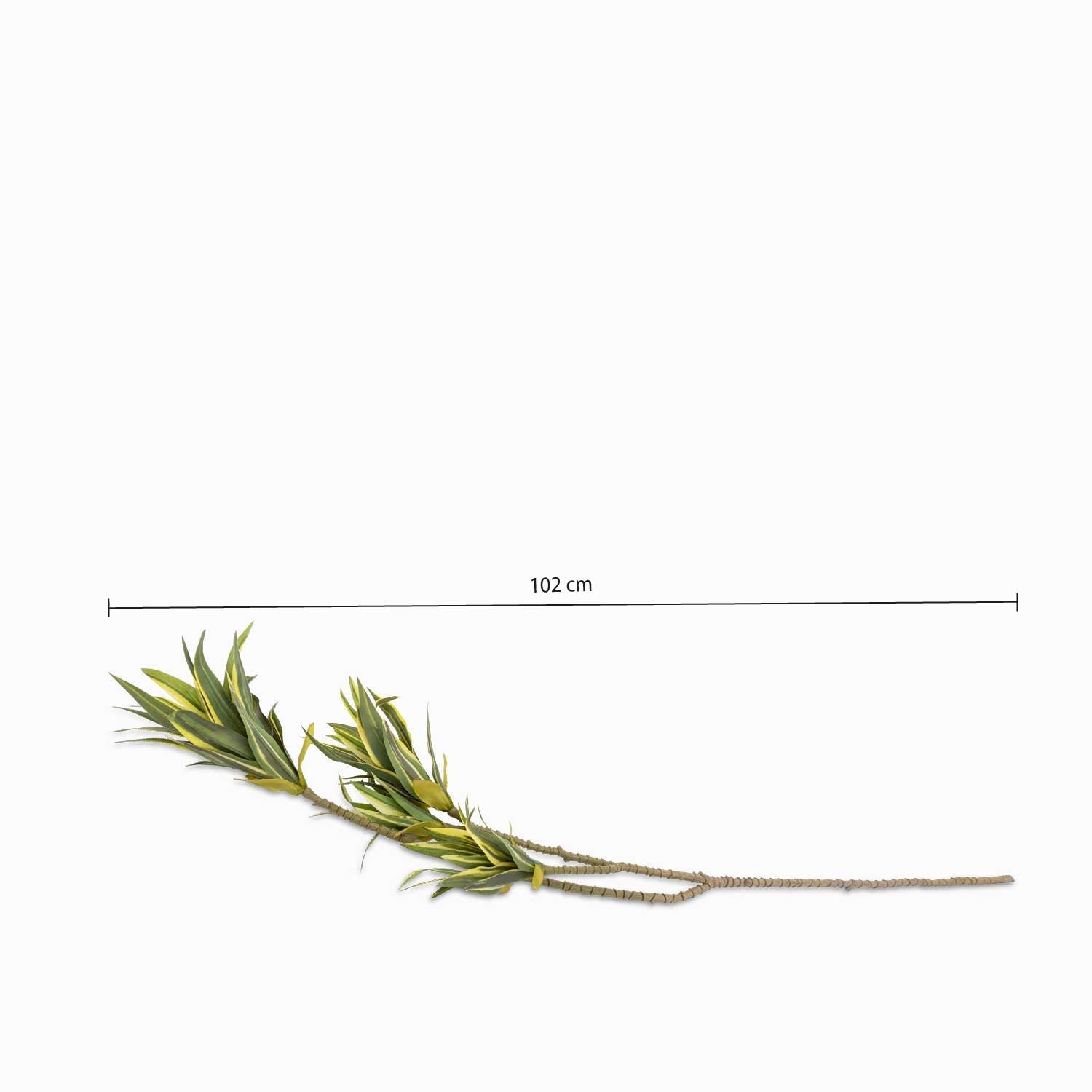 Arana 102 cm