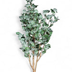 Arbol eucalipto 150cm