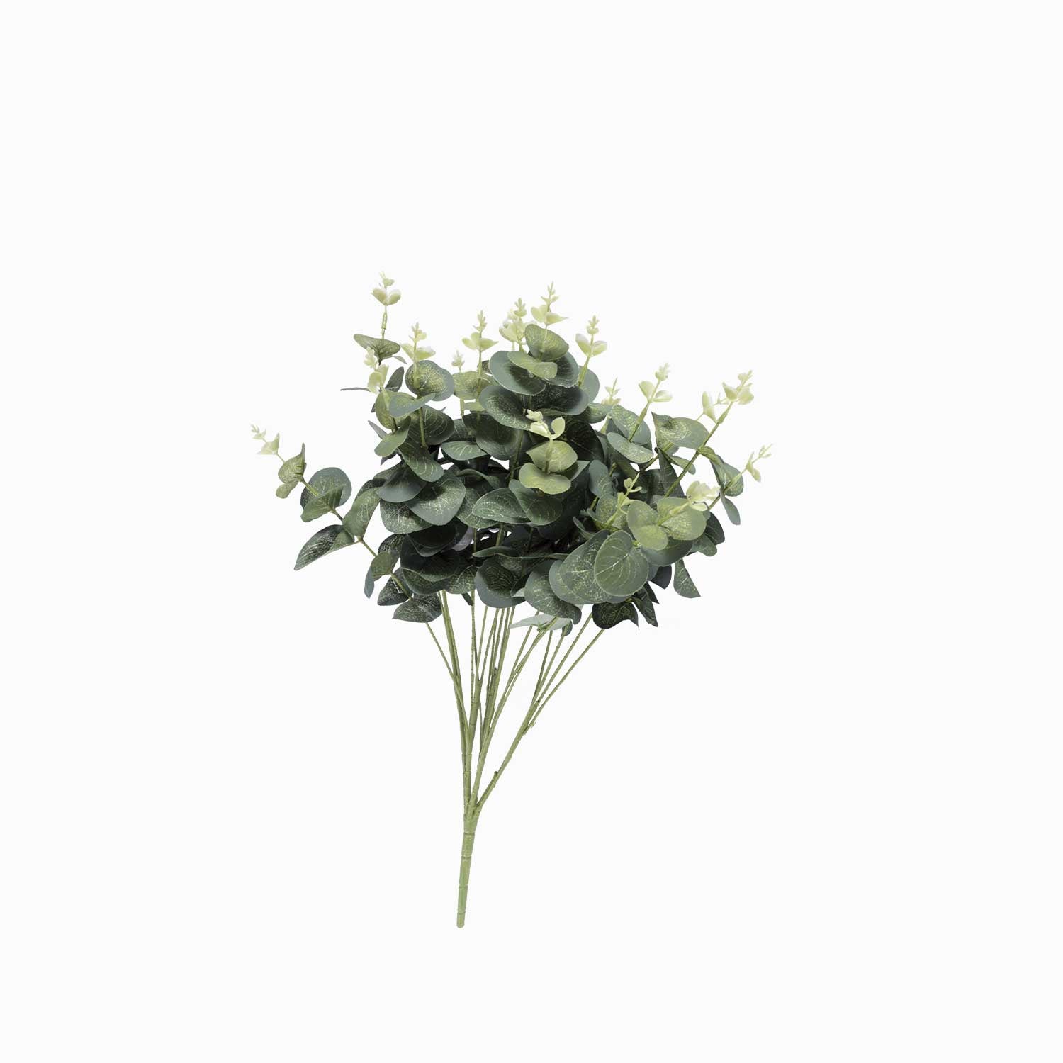 Arbusto de Eucalipto - Ambiente Gourmet México