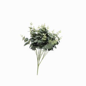 Arbusto de Eucalipto - Ambiente Gourmet México