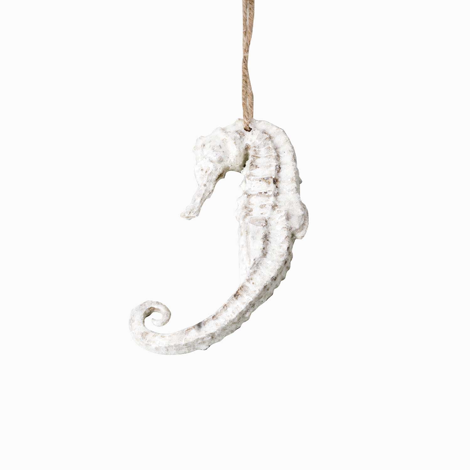 Caballito de mar - Ambiente Gourmet México