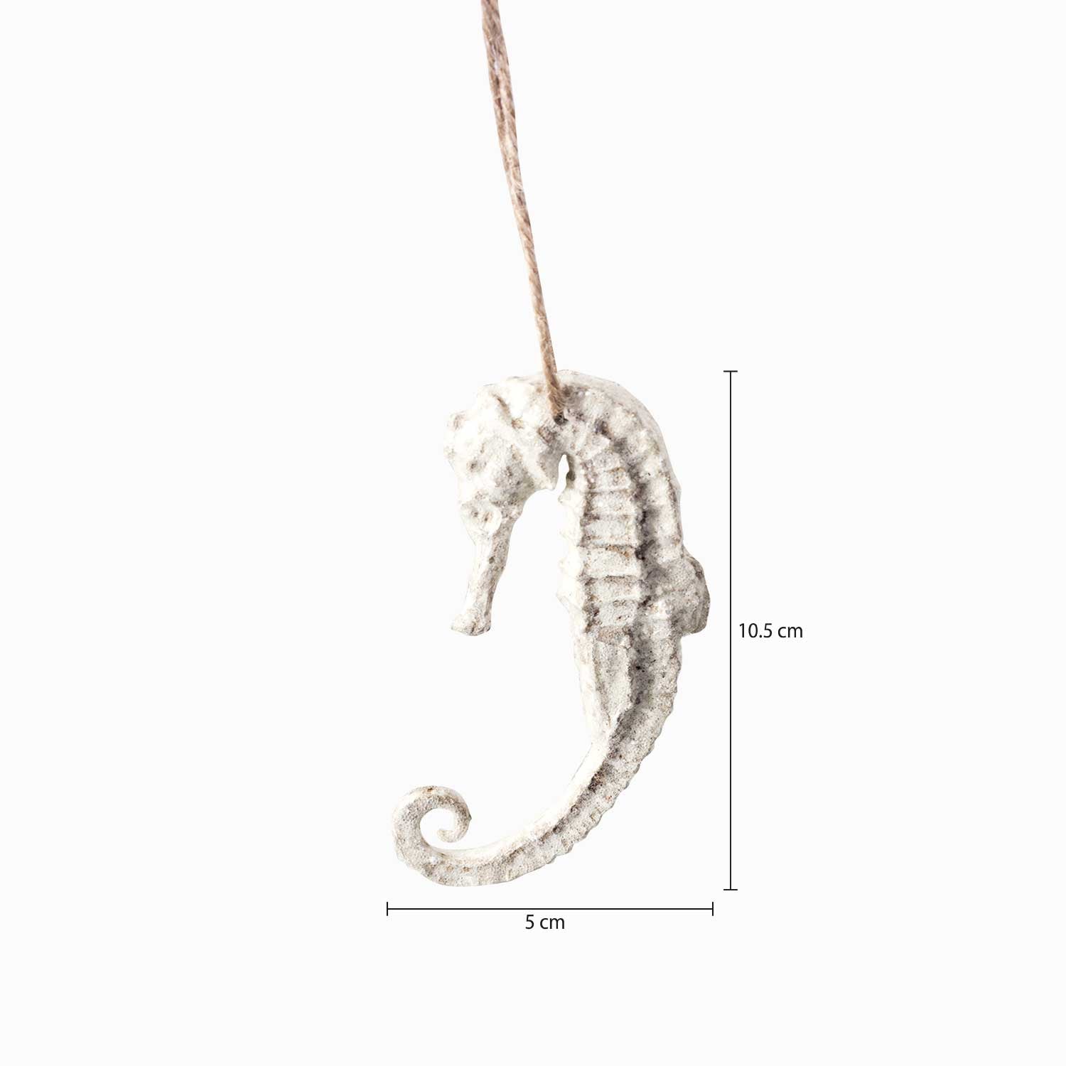 Caballito de mar - Ambiente Gourmet México