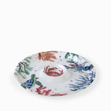 Chip and dip corales 30cm