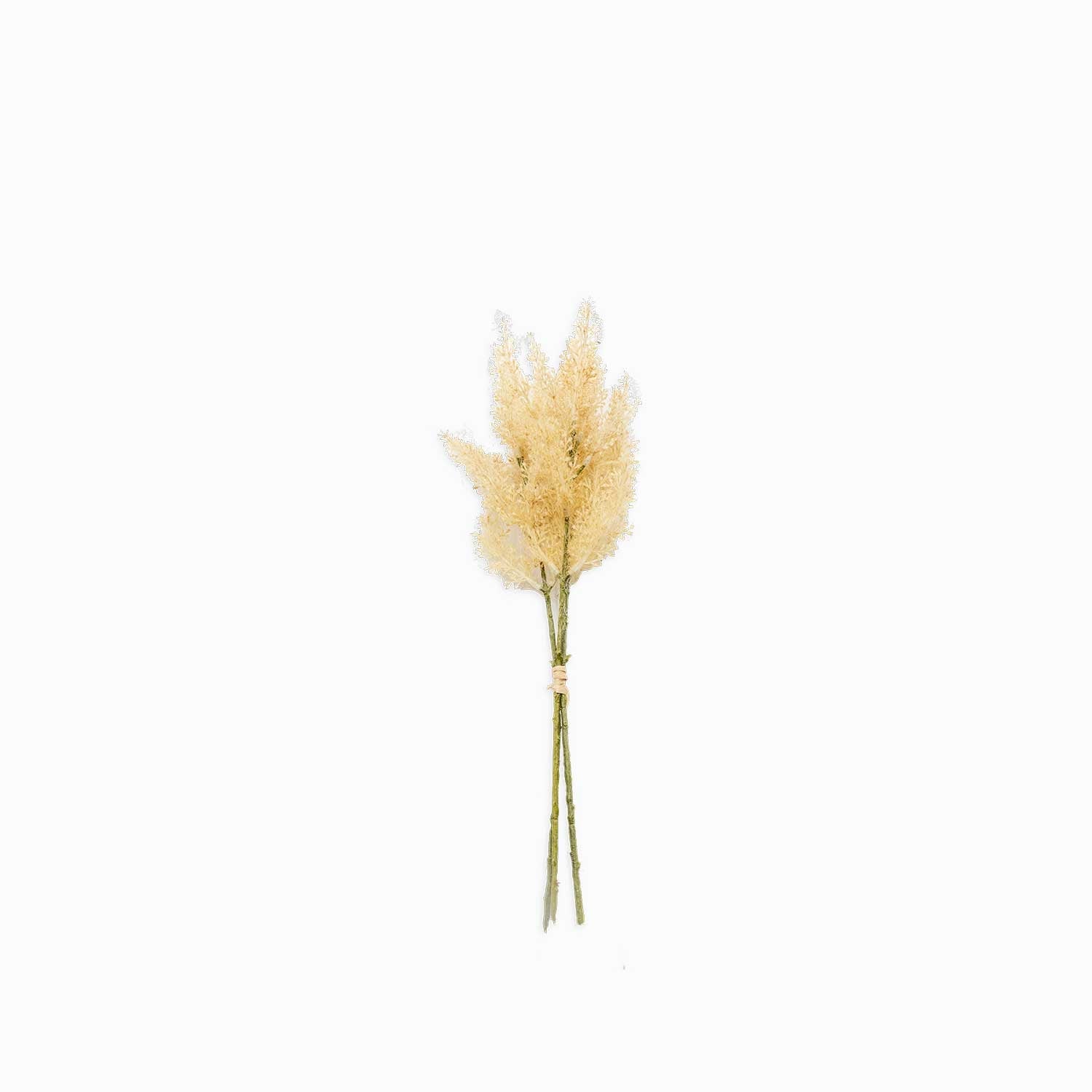 Flor de Astibile naranja