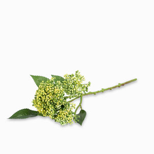 Flor de Tallo amarilla - Ambiente Gourmet México