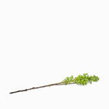 Follaje verde 79cm