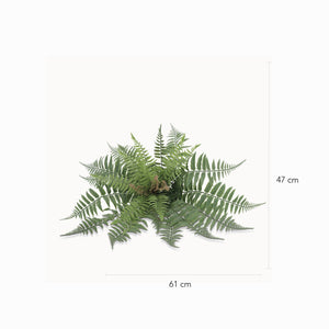 Helecho Florecido 47cm - Ambiente Gourmet México
