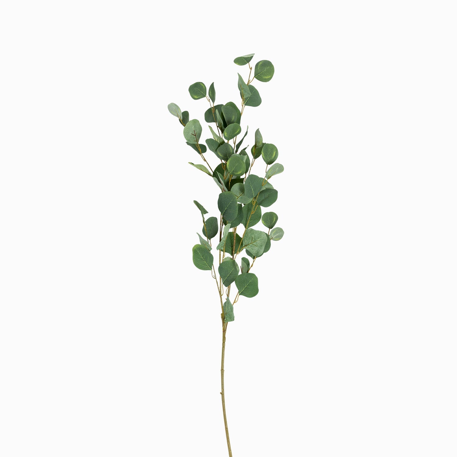 Hoja Eucalipto 110cm - Ambiente Gourmet México