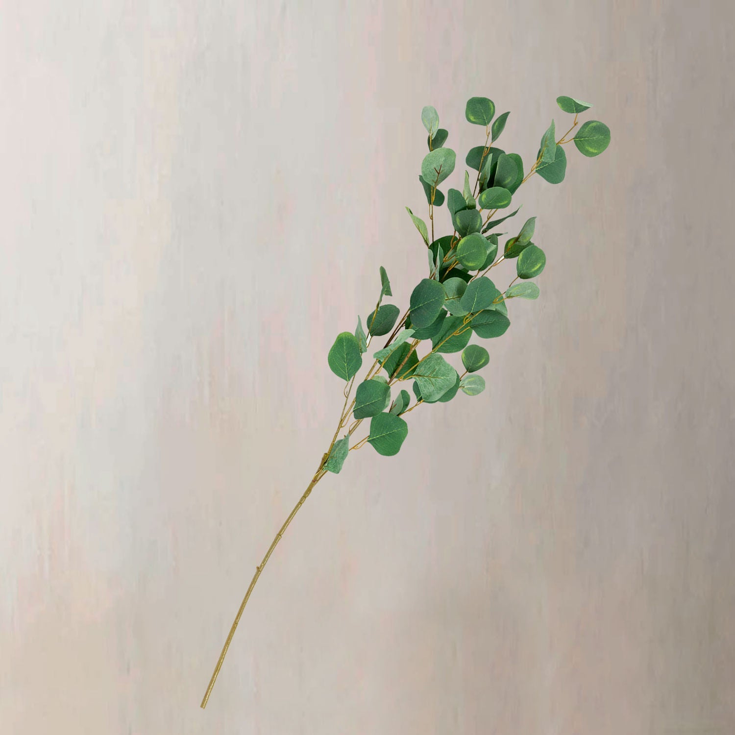 Hoja Eucalipto 110cm - Ambiente Gourmet México