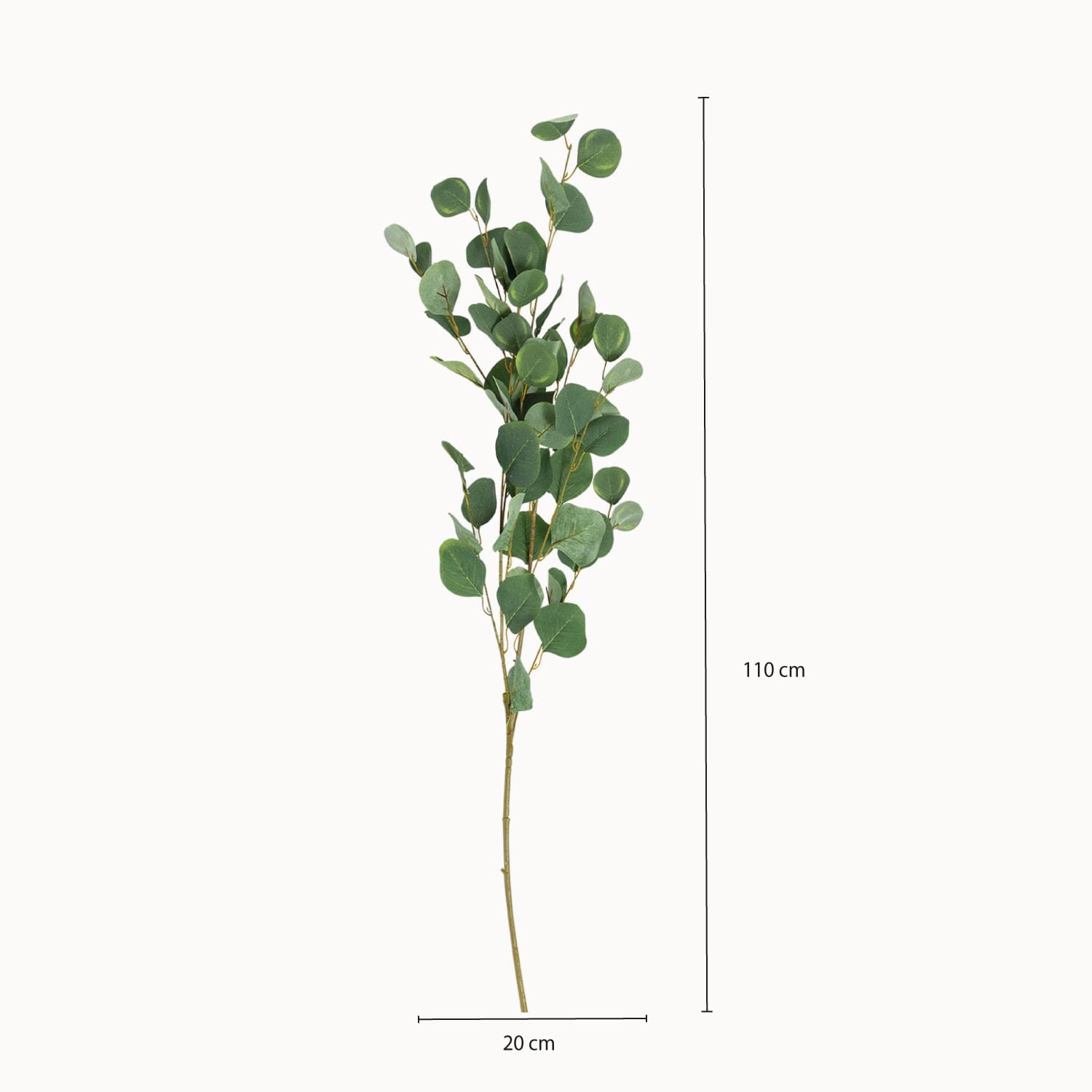 Hoja Eucalipto 110cm - Ambiente Gourmet México